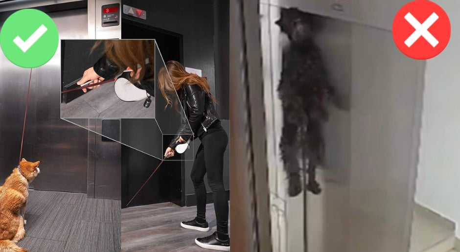 Pet Saver - Leash Cutter PRO