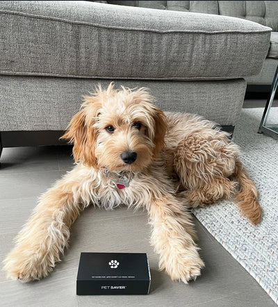 Product review image