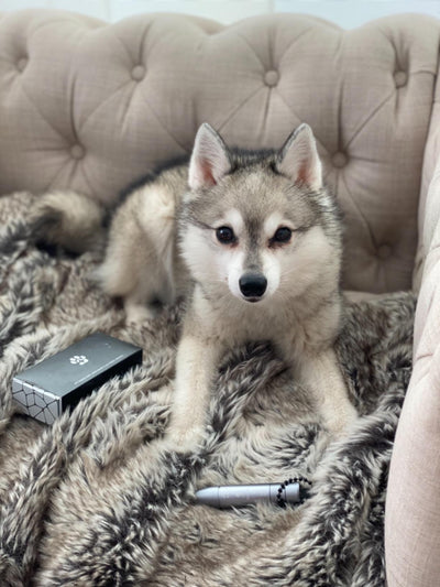 Product review image